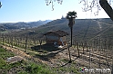 VBS_0950 - Santuario Madonna di Mombirone - Canale (CN)